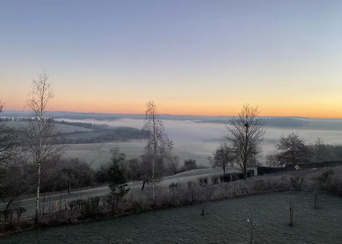 Daire Faulhauer Welschbillig